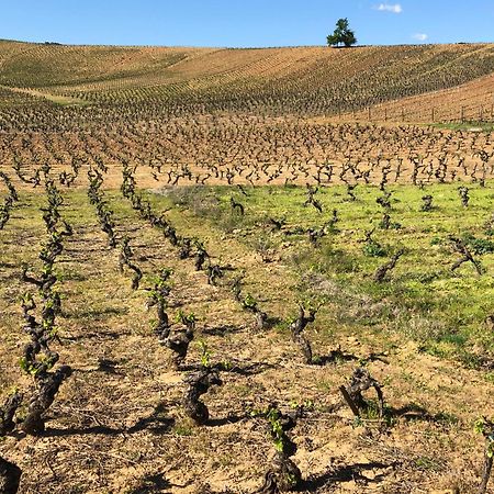 Boutique Finca Esencial Villafranca Del Bierzo Dış mekan fotoğraf