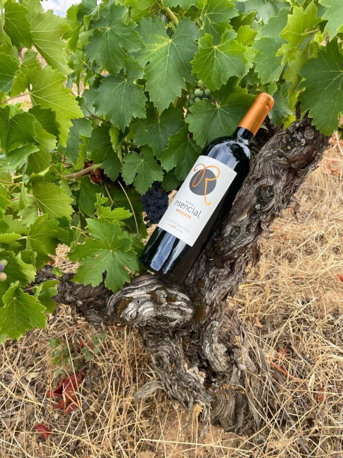 Boutique Finca Esencial Villafranca Del Bierzo Dış mekan fotoğraf