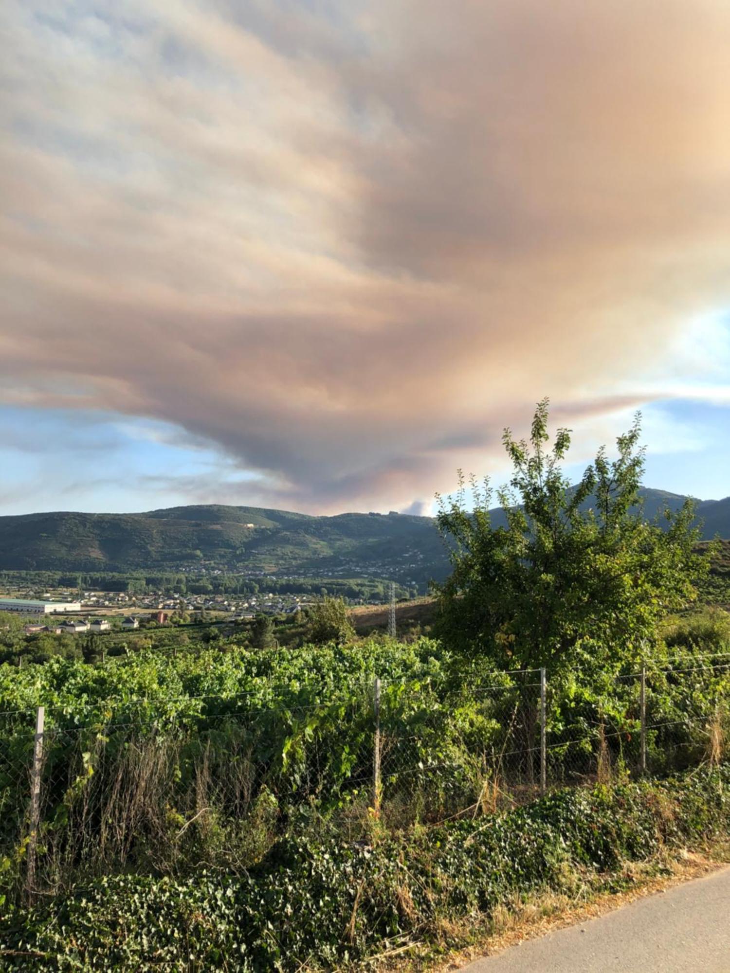 Boutique Finca Esencial Villafranca Del Bierzo Dış mekan fotoğraf