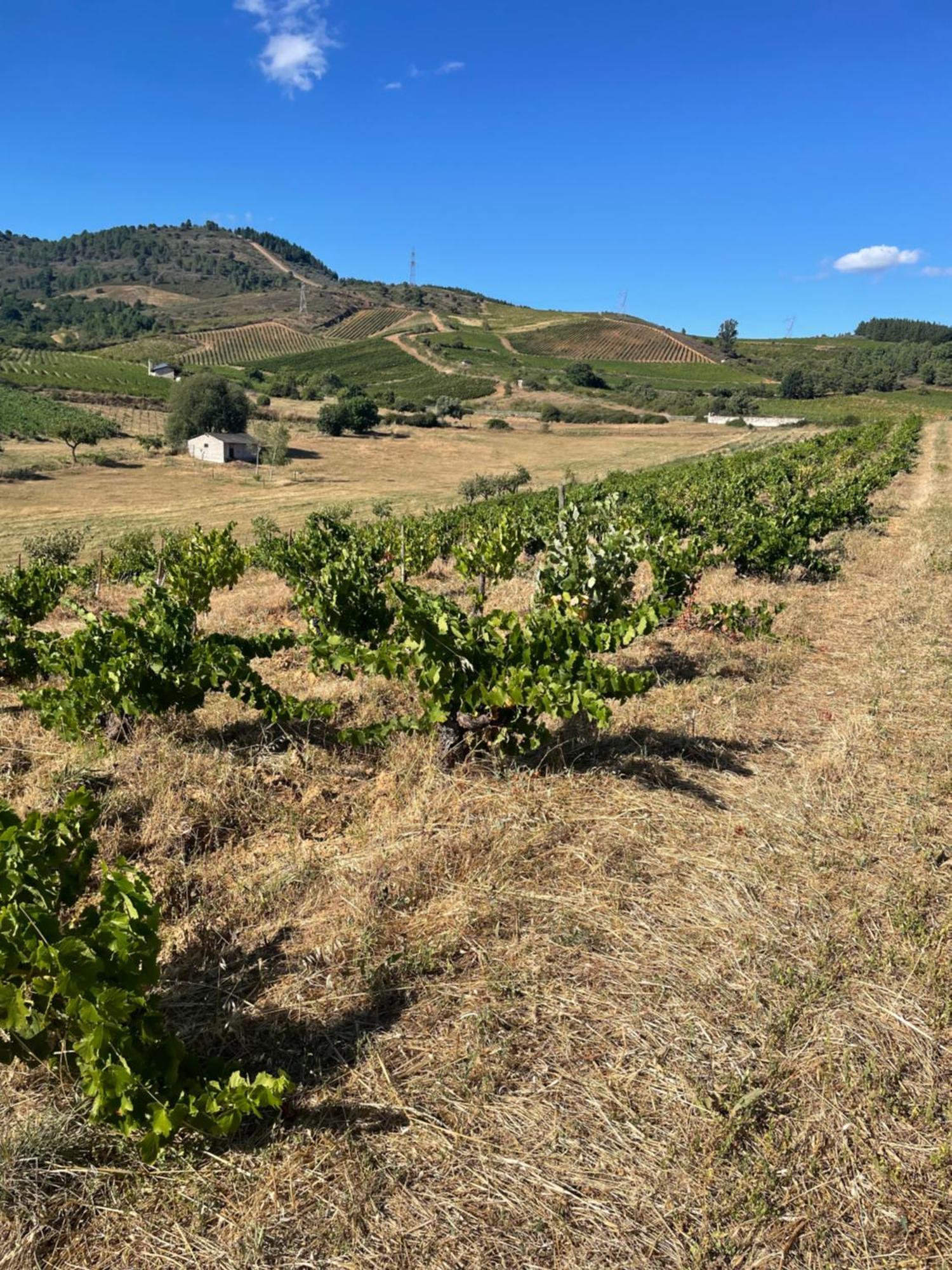 Boutique Finca Esencial Villafranca Del Bierzo Dış mekan fotoğraf