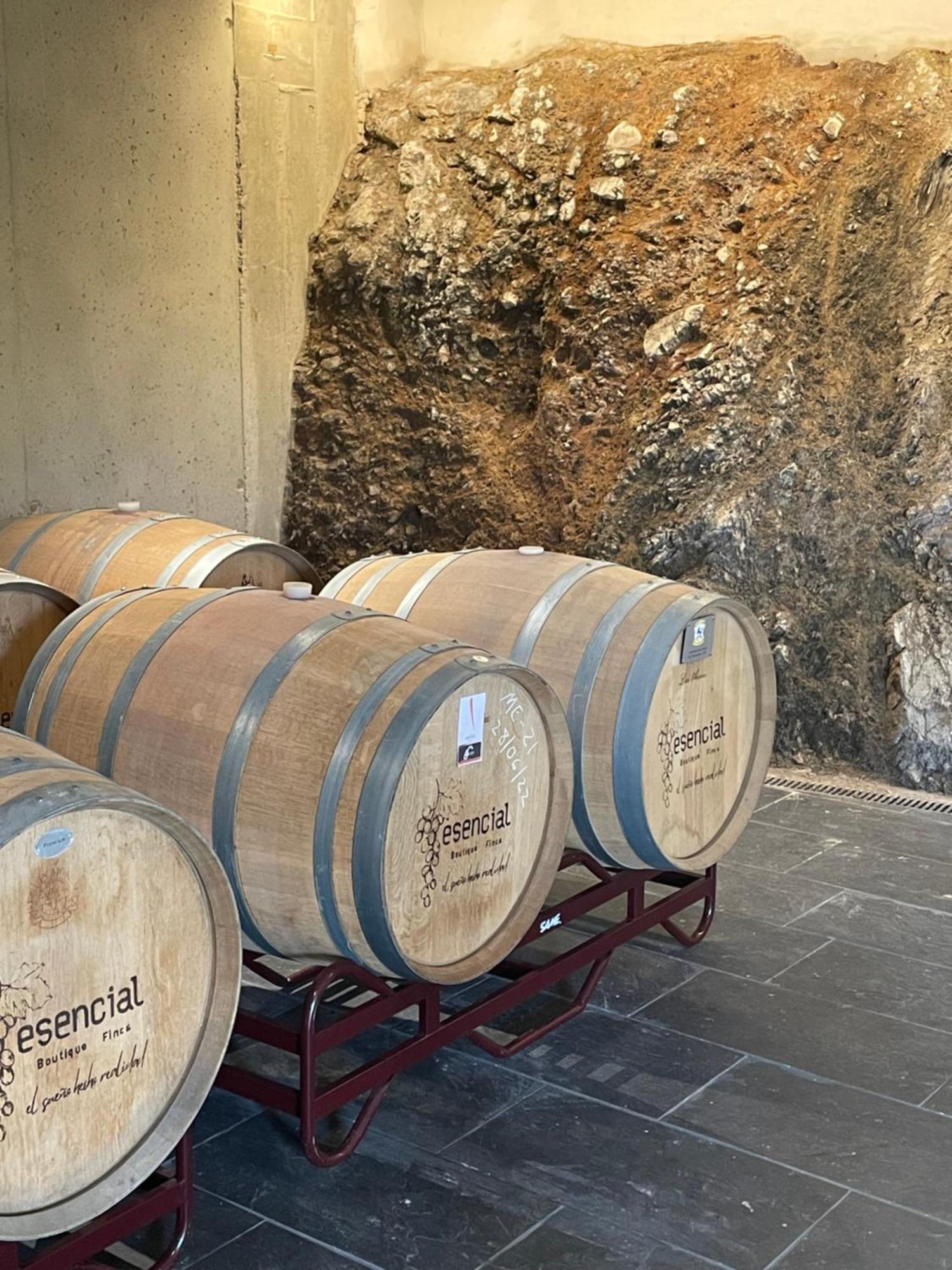 Boutique Finca Esencial Villafranca Del Bierzo Dış mekan fotoğraf