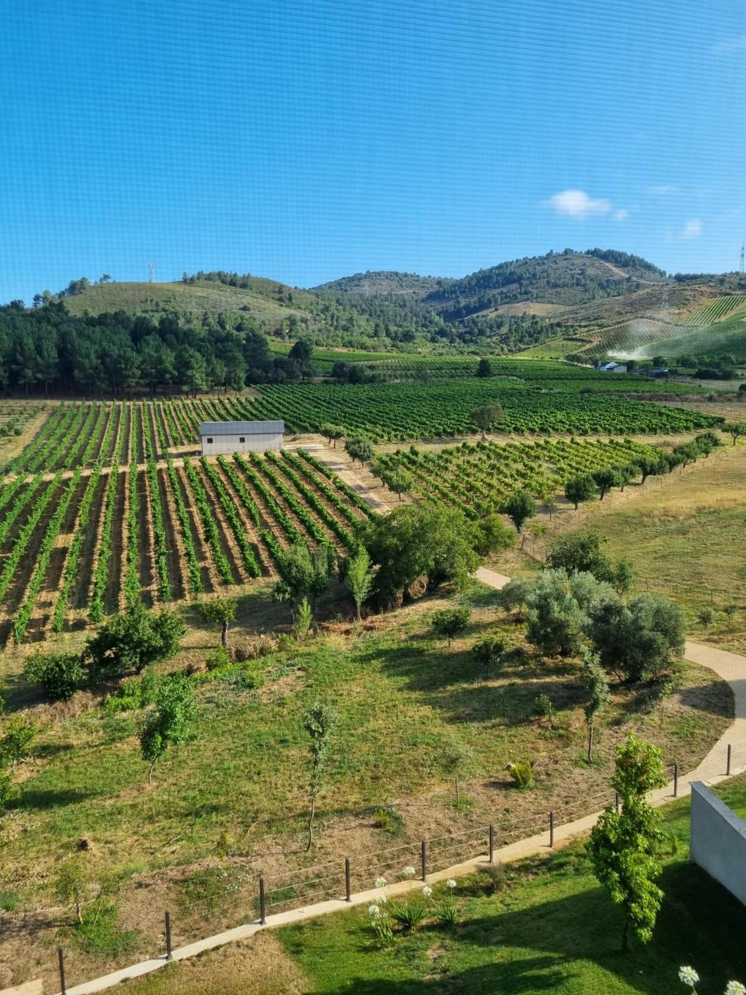 Boutique Finca Esencial Villafranca Del Bierzo Dış mekan fotoğraf
