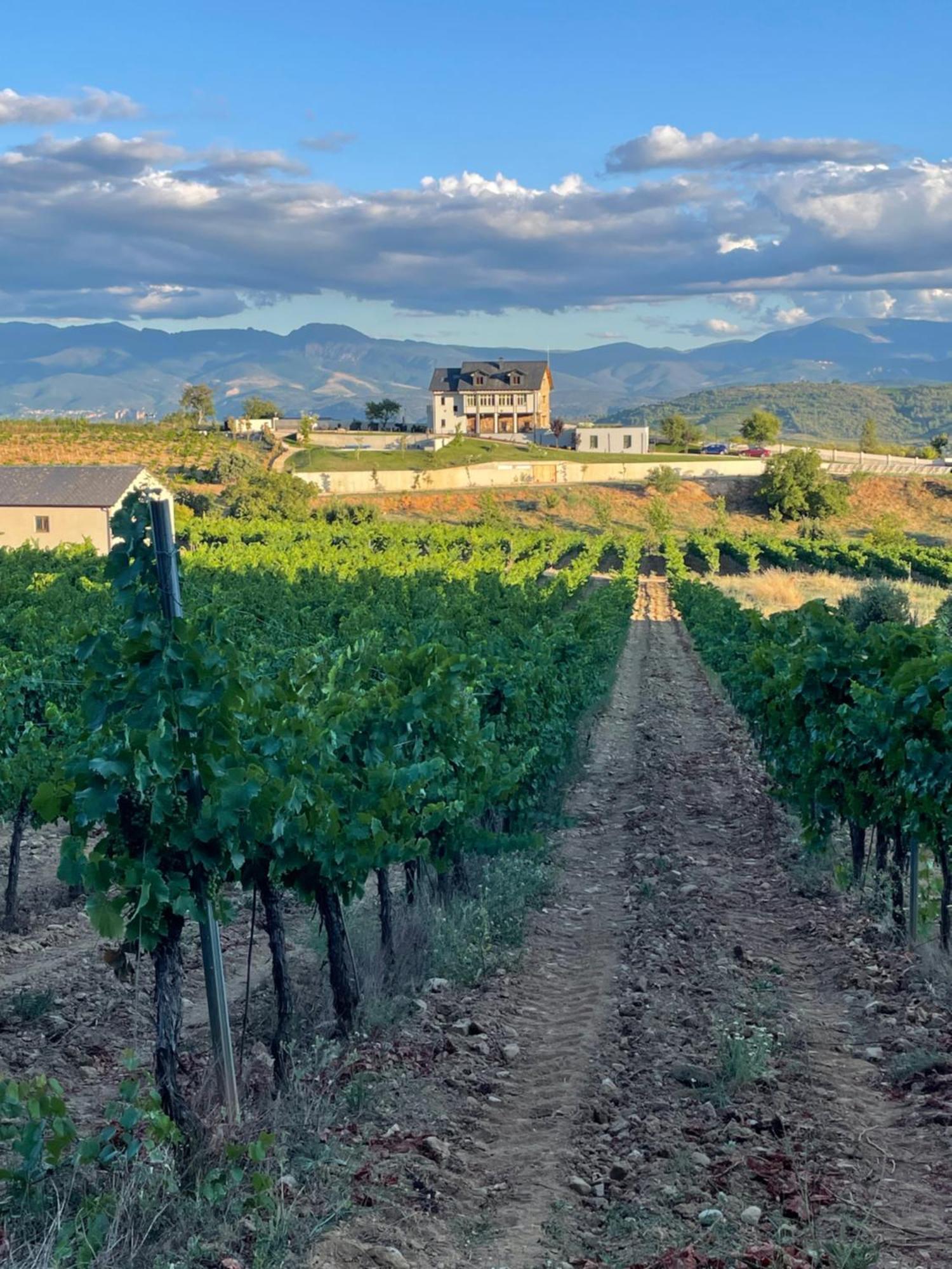 Boutique Finca Esencial Villafranca Del Bierzo Dış mekan fotoğraf